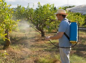 pest control done by farmer